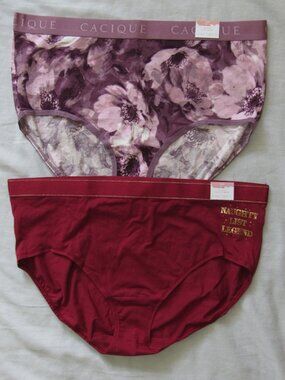 NWT Lot of 2 CACIQUE Cotton Brief Underwear Panties sz 14/16 High Leg Full